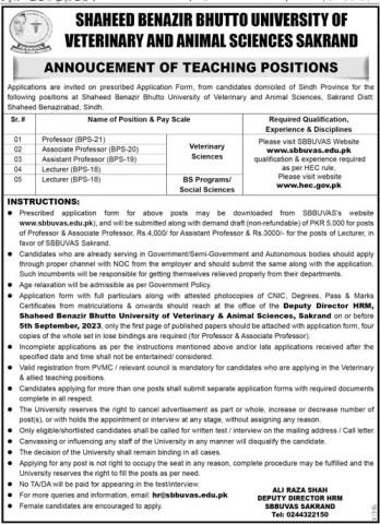  Shaheed Benazir Bhutto University of Veterinary and Animal Sciences Sakrand -Announcement of Teaching Positions 2023
Government of Sindh Jobs